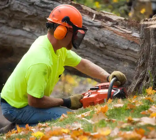 tree services Shepherdsville